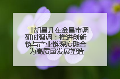 胡昌升在金昌市调研时强调：推进创新链与产业链深度融合 为高质量发展塑造新动能新优势