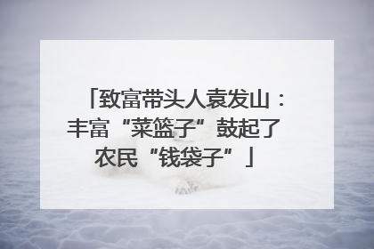 致富带头人袁发山：丰富“菜篮子”鼓起了农民“钱袋子”