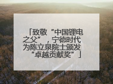 致敬“中国锂电之父”，宁德时代为陈立泉院士颁发“卓越贡献奖”