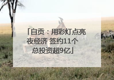 自贡：用彩灯点亮夜经济 签约11个总投资超9亿