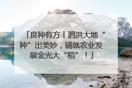 良种有方丨泗洪大地“种”出美妙，铺就农业发展金光大“稻”！
