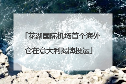 花湖国际机场首个海外仓在意大利揭牌投运