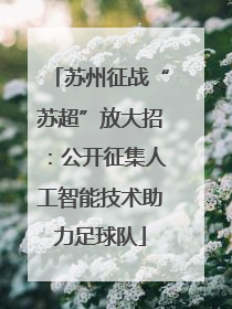 苏州征战“苏超”放大招：公开征集人工智能技术助力足球队