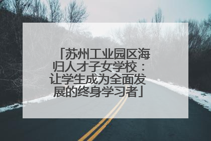 苏州工业园区海归人才子女学校：让学生成为全面发展的终身学习者