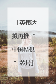 英伟达拟再推“中国特供”芯片