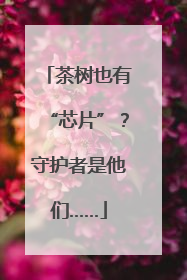 茶树也有“芯片”？守护者是他们……