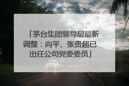 茅台集团领导层最新调整：向平、张贵超已出任公司党委委员