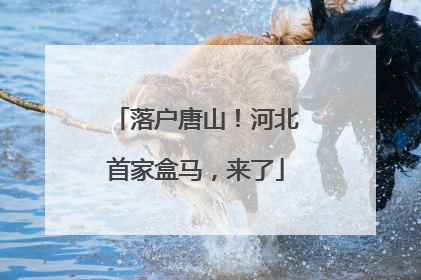 落户唐山！河北首家盒马，来了