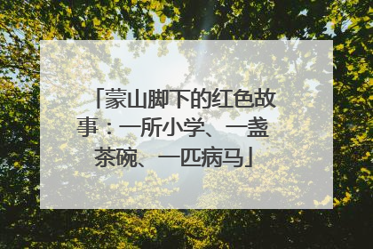 蒙山脚下的红色故事：一所小学、一盏茶碗、一匹病马