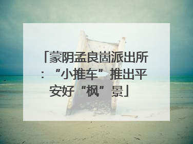 蒙阴孟良崮派出所：“小推车”推出平安好“枫”景