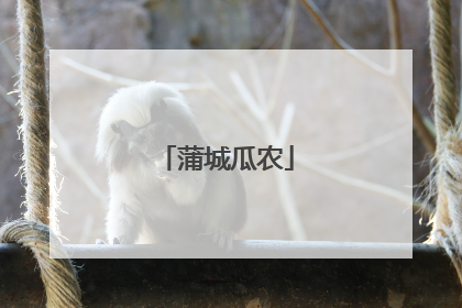 蒲城瓜农