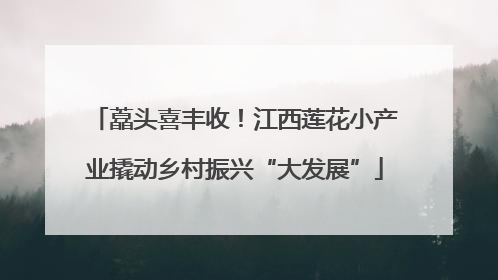 藠头喜丰收！江西莲花小产业撬动乡村振兴“大发展”