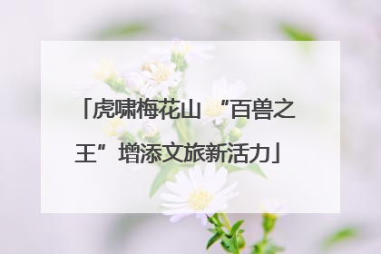 虎啸梅花山 “百兽之王”增添文旅新活力