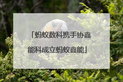 蚂蚁数科携手协鑫能科成立蚂蚁鑫能