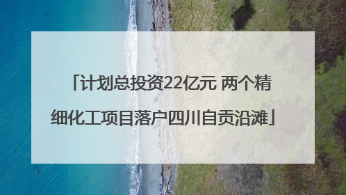 计划总投资22亿元 两个精细化工项目落户四川自贡沿滩