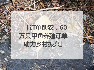订单助农，60万只甲鱼养殖订单助力乡村振兴