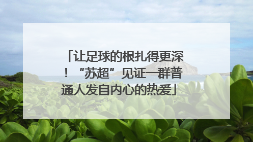 让足球的根扎得更深！“苏超”见证一群普通人发自内心的热爱