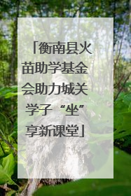 衡南县火苗助学基金会助力城关学子“坐”享新课堂