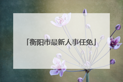 衡阳市最新人事任免