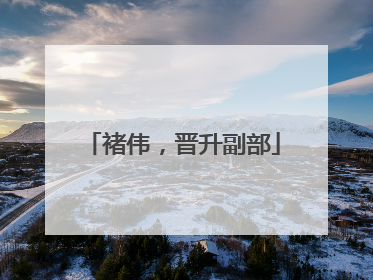 褚伟，晋升副部