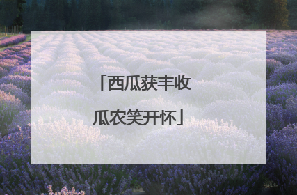 西瓜获丰收 瓜农笑开怀