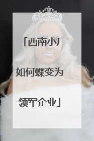 西南小厂如何蝶变为领军企业