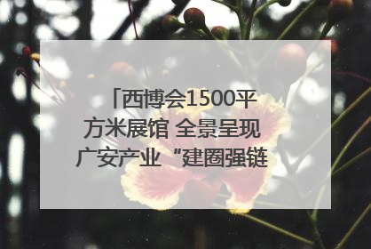 西博会1500平方米展馆 全景呈现广安产业“建圈强链”｜西博视界