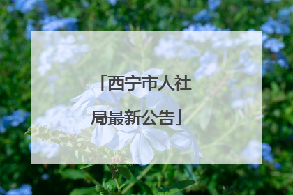 西宁市人社局最新公告