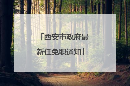 西安市政府最新任免职通知