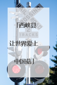 西峡县 让世界爱上中国菇