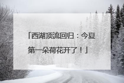 西湖顶流回归：今夏第一朵荷花开了！