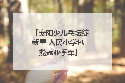 襄阳少儿乓坛绽新星 人民小学包揽冠亚季军