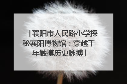 襄阳市人民路小学探秘襄阳博物馆：穿越千年触摸历史脉搏