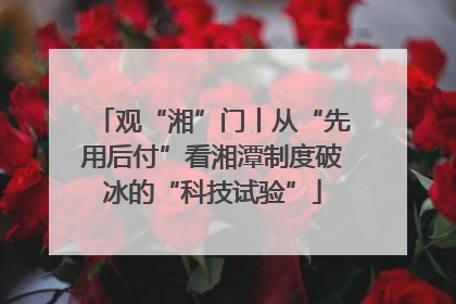 观“湘”门丨从“先用后付”看湘潭制度破冰的“科技试验”