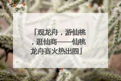 观龙舟，游仙桃，逛仙商——仙桃龙舟赛火热出圈