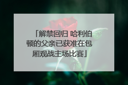 解禁回归 哈利伯顿的父亲已获准在包厢观战主场比赛
