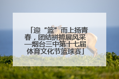 迎“篮”而上扬青春，团结拼搏展风采—烟台三中第十七届体育文化节篮球赛