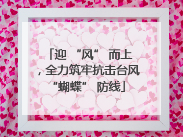 迎 “风” 而上，全力筑牢抗击台风 “蝴蝶” 防线