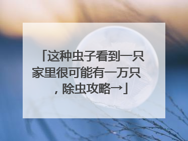 这种虫子看到一只家里很可能有一万只，除虫攻略→