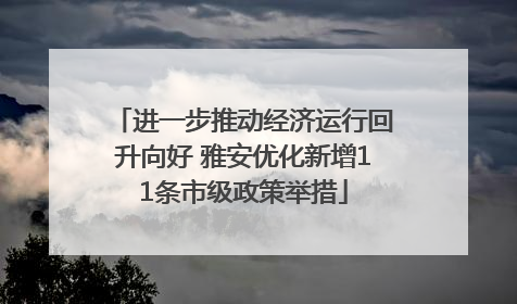 进一步推动经济运行回升向好 雅安优化新增11条市级政策举措