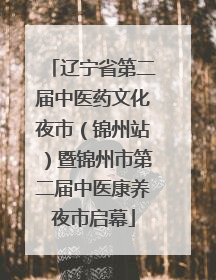 辽宁省第二届中医药文化夜市（锦州站）暨锦州市第二届中医康养夜市启幕
