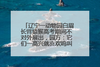 辽宁一动物园白眉长臂猿猴高考期间不对外展出，园方：它们一高兴就喜欢鸣叫，怕影响考试