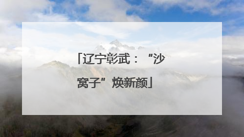 辽宁彰武：“沙窝子”焕新颜