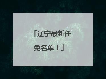 辽宁最新任免名单！