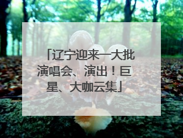 辽宁迎来一大批演唱会、演出！巨星、大咖云集