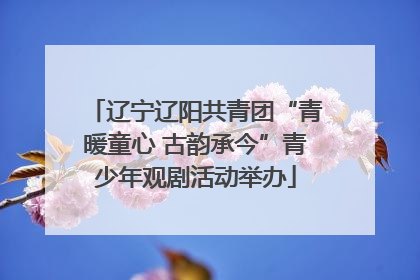 辽宁辽阳共青团“青暖童心 古韵承今”青少年观剧活动举办
