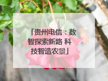 贵州电信：数智探索新路 科技智造农景