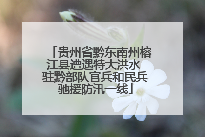 贵州省黔东南州榕江县遭遇特大洪水 驻黔部队官兵和民兵驰援防汛一线