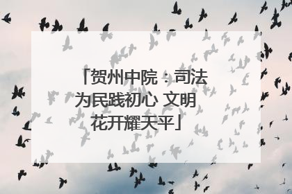 贺州中院：司法为民践初心 文明花开耀天平