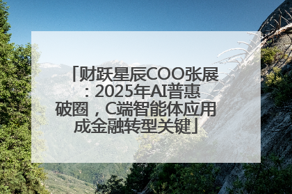 财跃星辰COO张展：2025年AI普惠破圈，C端智能体应用成金融转型关键